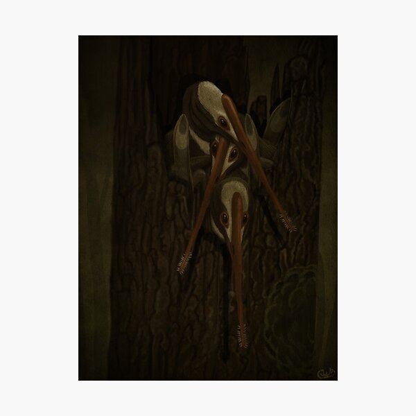 Item preview, Pangupterus designed and sold by KirbyPaleoart.