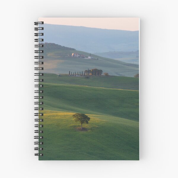 Item preview, Tree in Val D Orcia designed and sold by pietrofoto.