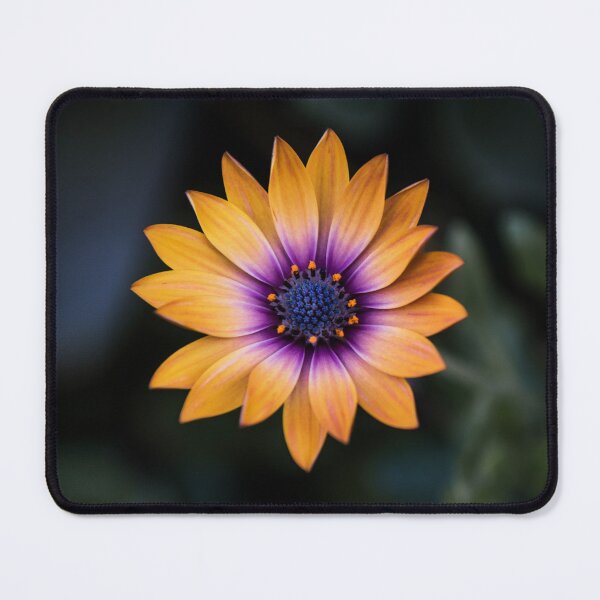 Item preview, Closeup shot of an orange flower with blurred background designed and sold by ZafranOnline.