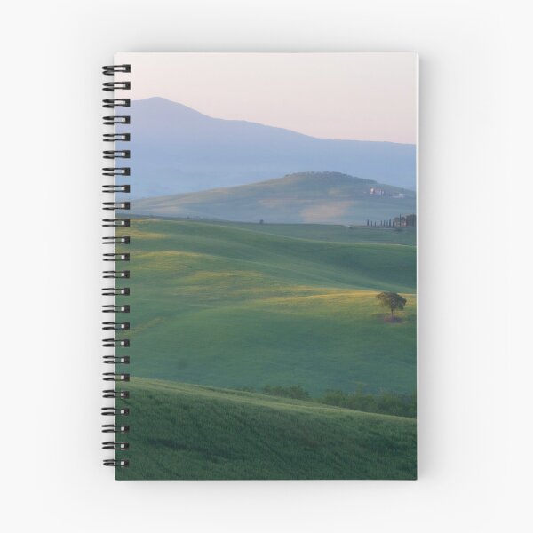 Item preview, Tree in Val D Orcia  designed and sold by pietrofoto.