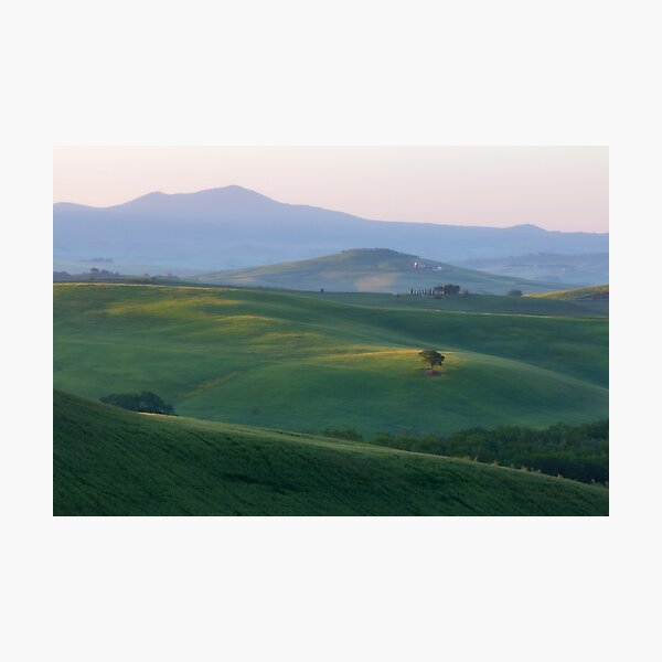 Tree in Val D Orcia Photographic Print