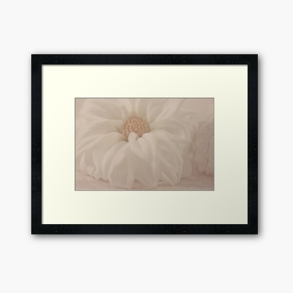 White Dahlia And Sea Shell Framed Art Print