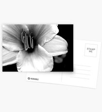 Frailty Postcards