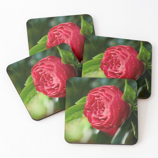 Item preview, Japanese Camellia stylish red designed and sold by Jouko Lehto Photography.