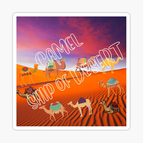 Camel Ship of Desert Sticker
