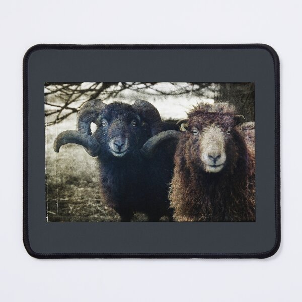 Item preview, A Pair of Ouessant Sheep designed and sold by WesternExposure.