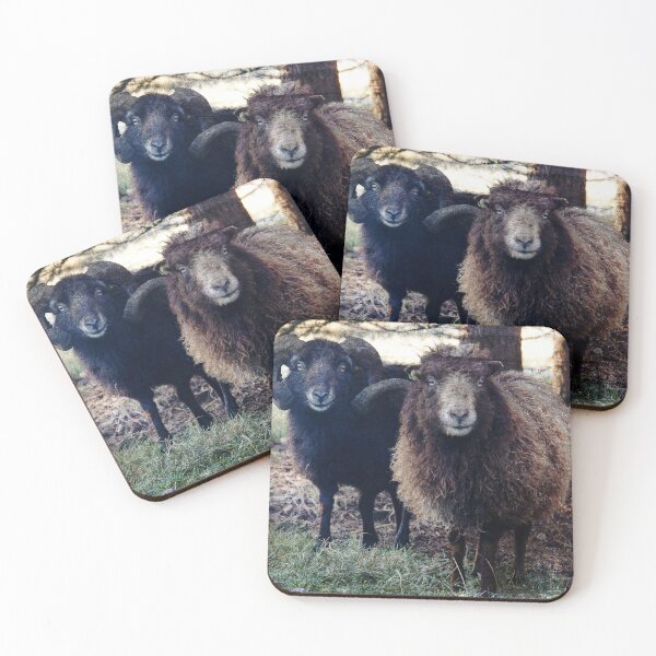 Item preview, A Pair of Ouessant Sheep 2 designed and sold by WesternExposure.