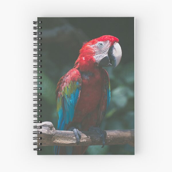 Item preview, Beautiful Red Parrot designed and sold by Steven Jodoin.