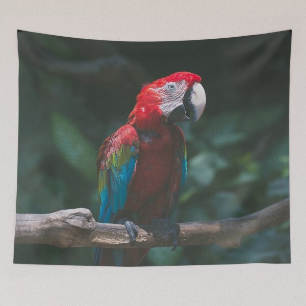 Item preview, Beautiful Red Parrot designed and sold by Steven Jodoin.