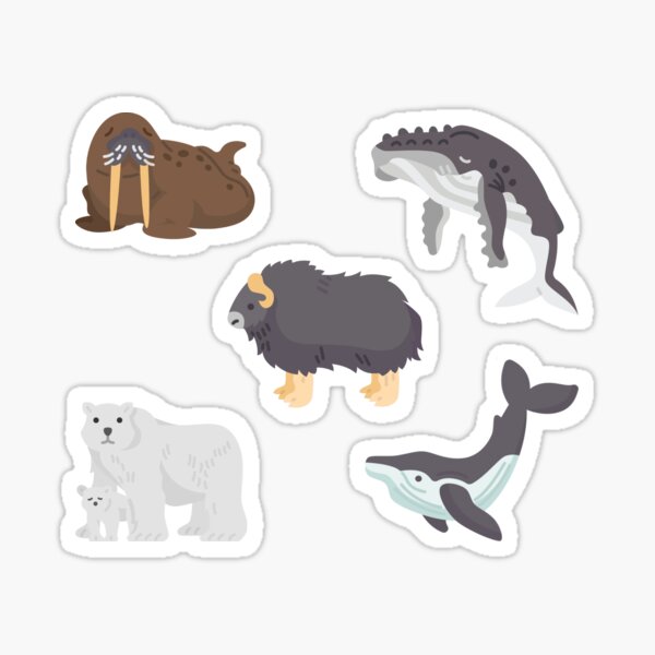 Item preview, Muskox, musk ox, musk-ox and other Arctic Wild Animals designed and sold by KlaraMacinka.
