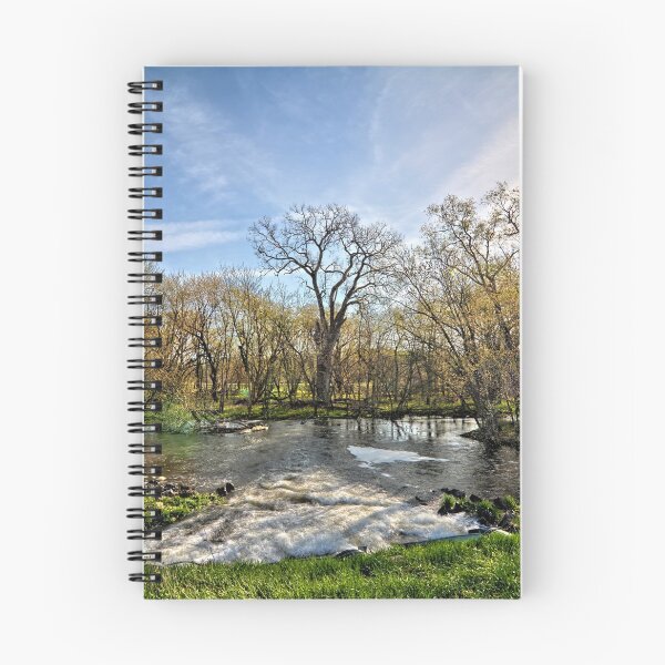 Item preview, Spillway designed and sold by LynyrdSky.