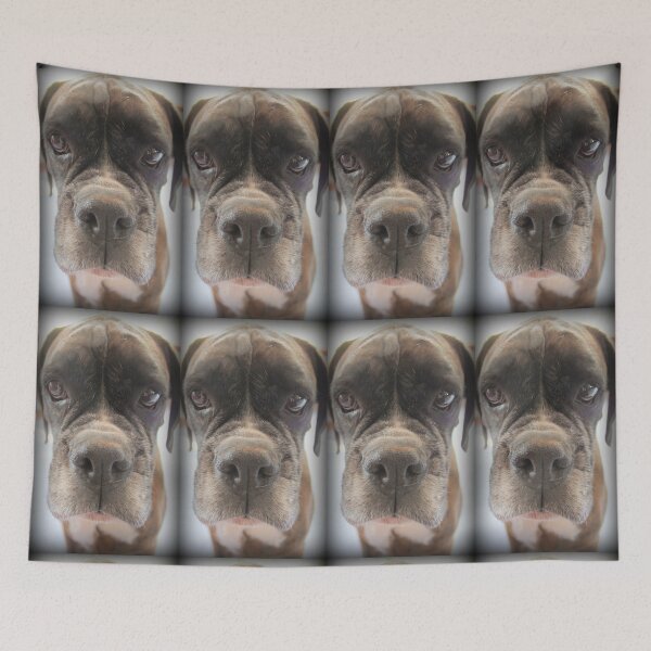 Item preview, Are There Any Choc Cookies In There? - Boxer Dogs Series designed and sold by Evita.