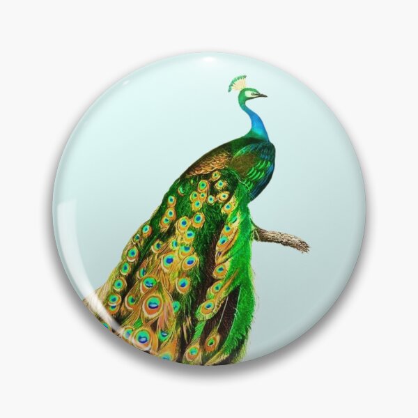 Item preview, Indian peafowl  illustrated by Charles Dessalines D' Orbigny  designed and sold by CristalleLisa.