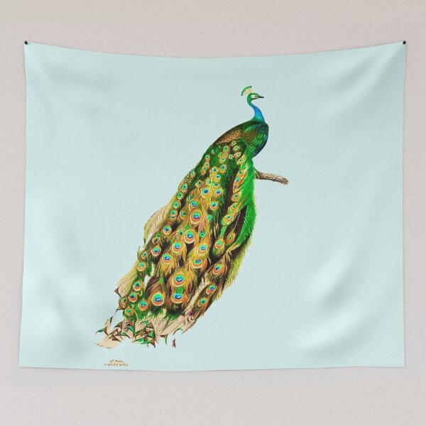 Item preview, Indian peafowl  illustrated by Charles Dessalines D' Orbigny  designed and sold by CristalleLisa.