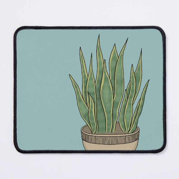 Item preview, Snake Plant - Sansevieria Zeylanica designed and sold by TASORA.