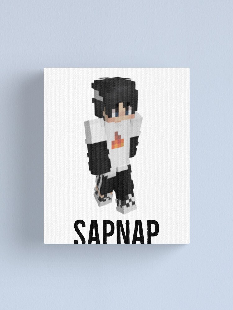 Sapnap minecraft skin, an art canvas by Vixy Draws - INPRNT