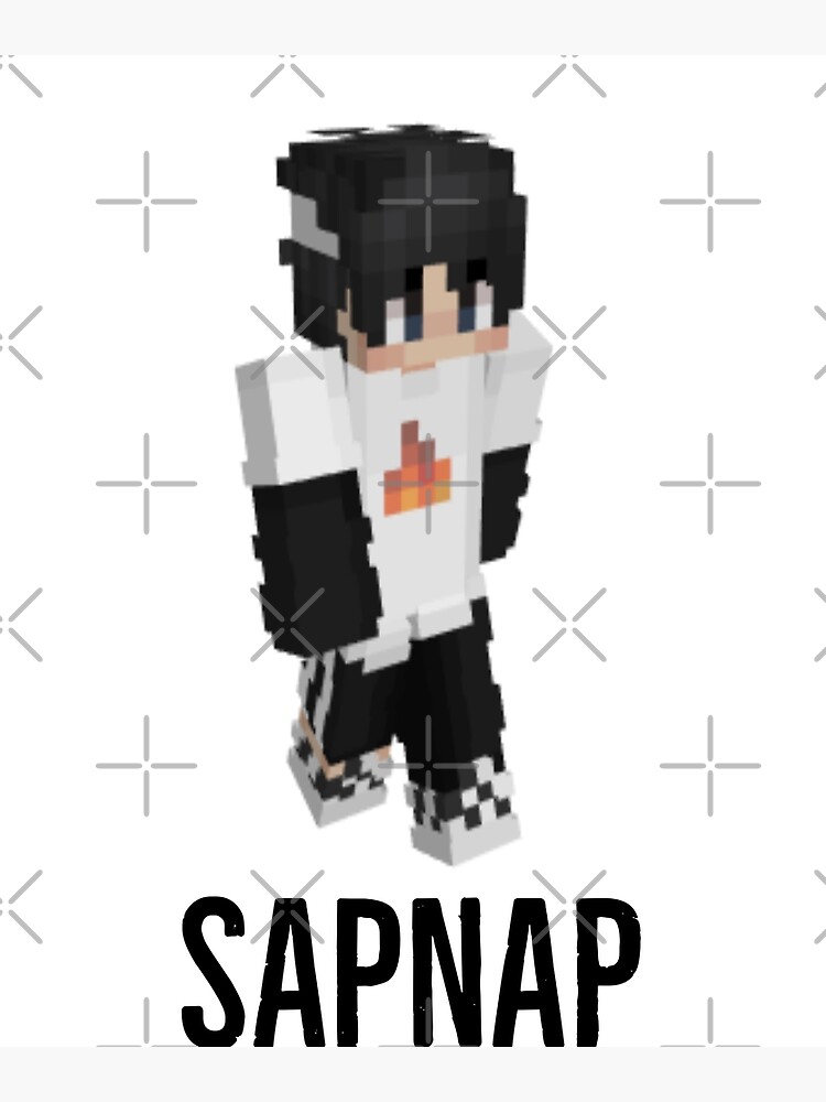 Sapnap Minecraft Skin Sticker Greeting Card for Sale by 10ecargs