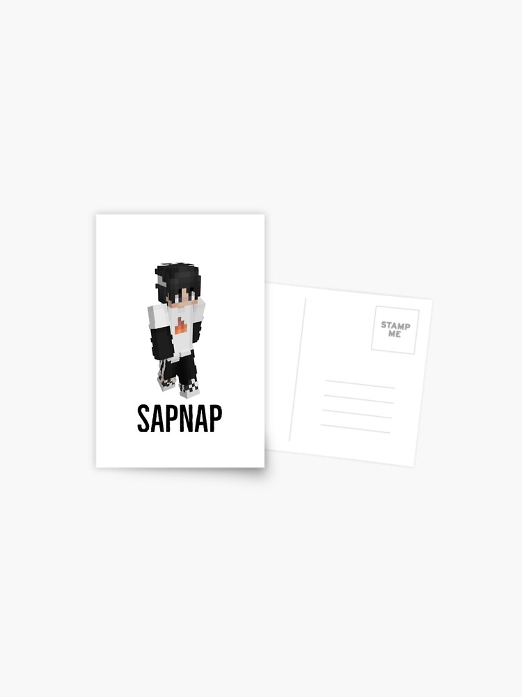 Sapnap Minecraft Skin Sticker Postcard for Sale by 10ecargs