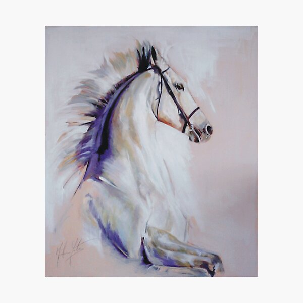 Equus Photographic Print