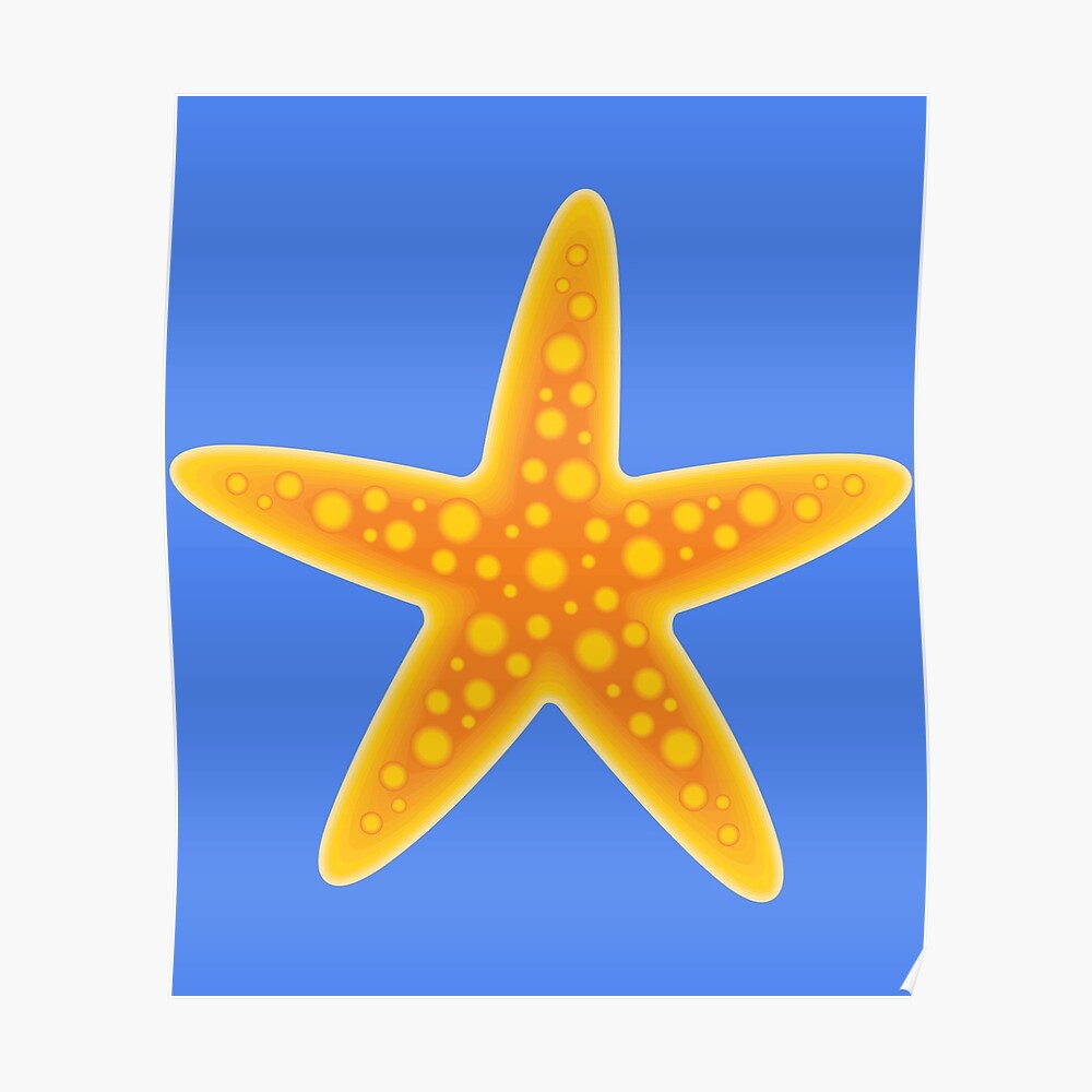 starfish sea animals starfish sea Star starfish sea animals starfish sea Star