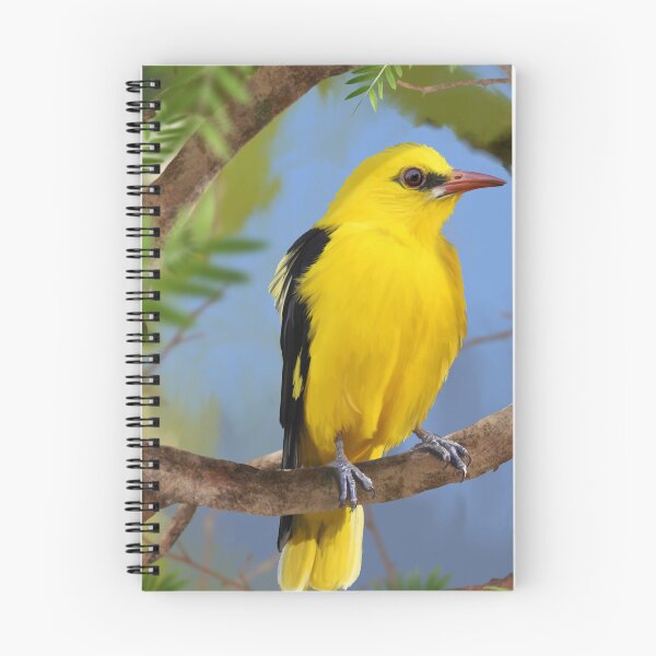 Item preview, Eurasian Golden Oriole designed and sold by TaninoBirds.