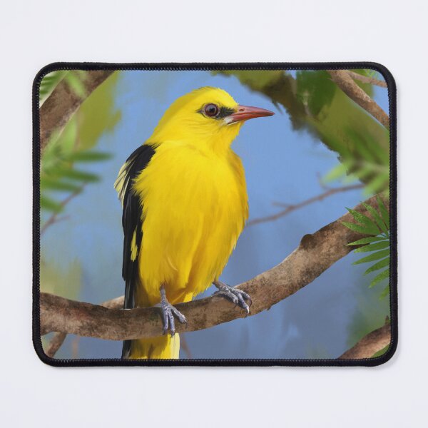 Item preview, Eurasian Golden Oriole designed and sold by TaninoBirds.