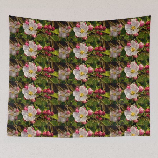 Item preview, Apple Blossom Panorama designed and sold by Violaman.