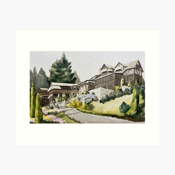 The Jungle House Art Print