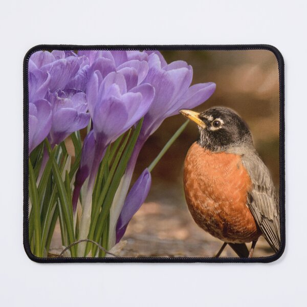Item preview, Robin in the spring flowers designed and sold by LudaNayvelt.
