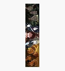 Anime Photographic Print