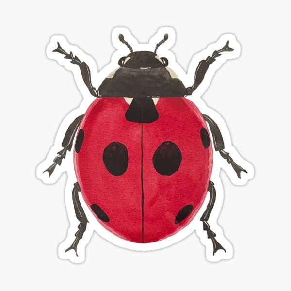 Collection of ladybug stickers cute insect ladybir