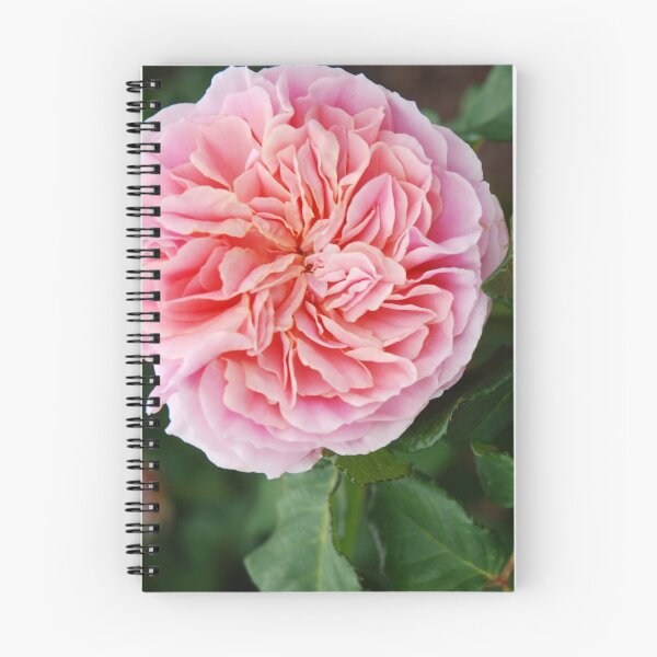 Item preview, Pleated Pink Rose designed and sold by lizdomett.