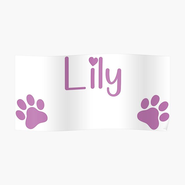 "Lily Dog or Cat name" Poster for Sale by 4You4U Redbubble
