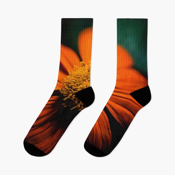 Item preview, Night Sunflower designed and sold by amgphotography.