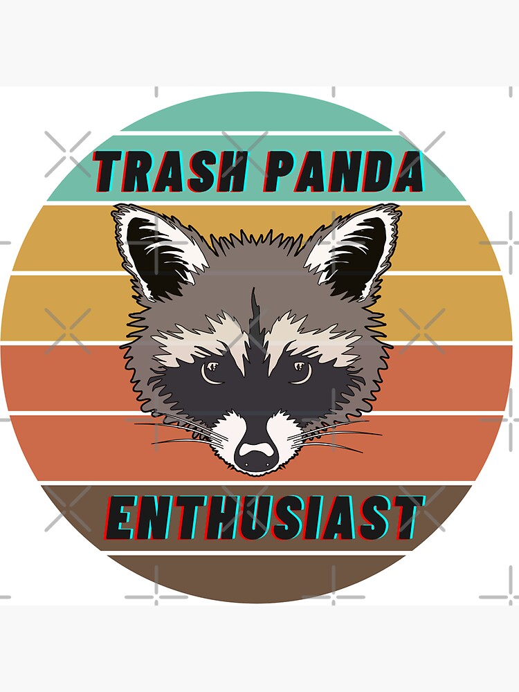 Unique Raccoon Trash Panda Gift Pretty Raccoon Decor Unique 