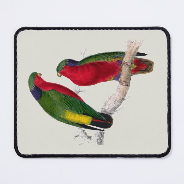Item preview, Kuhl's Parakeets by Edward Lear designed and sold by Amanda1775.