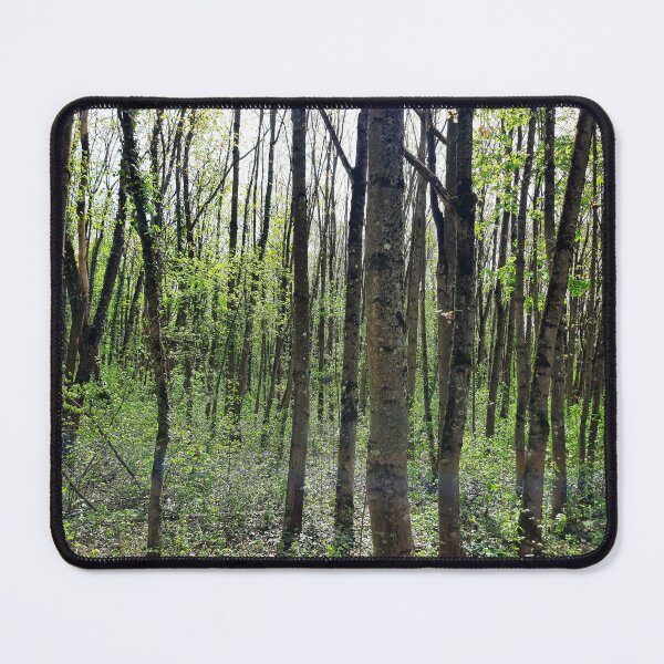 Item preview, Green forest with flowers designed and sold by Dreammkd.