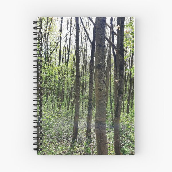 Item preview, Green forest with flowers designed and sold by Dreammkd.
