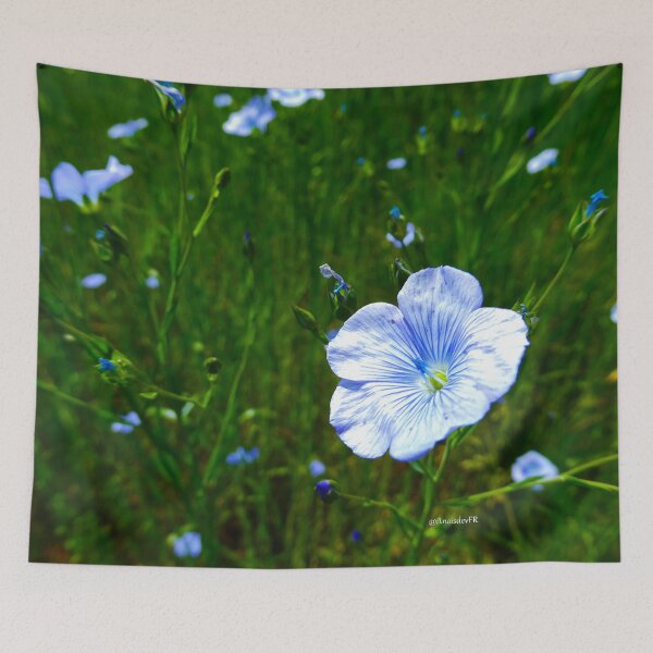 Item preview, Flax flower 1 designed and sold by AnaisdevFR.