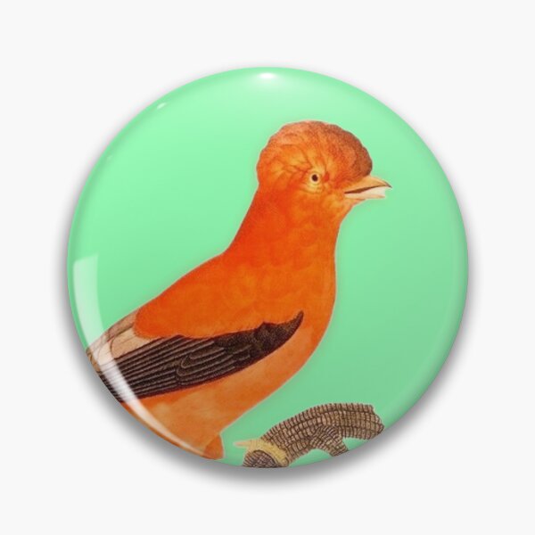 Item preview, Andean cock-of-the-rock from Histoire Naturelle des Oiseaux de Paradis et Des Rolliers (1806) by Jacques Barraband [Digitally enhanced by WatermarkNZ Press]] designed and sold by CristalleLisa.