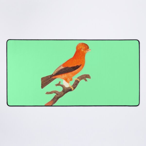 Item preview, Andean cock-of-the-rock from Histoire Naturelle des Oiseaux de Paradis et Des Rolliers (1806) by Jacques Barraband [Digitally enhanced by WatermarkNZ Press]] designed and sold by CristalleLisa.