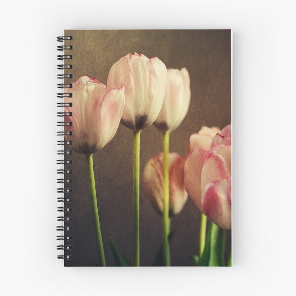 Item preview, dutch masters designed and sold by Kelly LaFleur.
