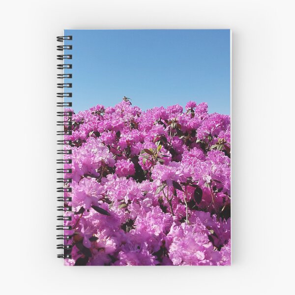 Item preview, View of "Mount Rhodendron" on a clear day designed and sold by rvjames.