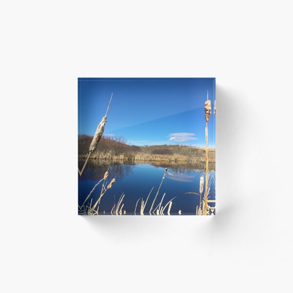 Item preview, Alberta Pond designed and sold by theglobaladvent.