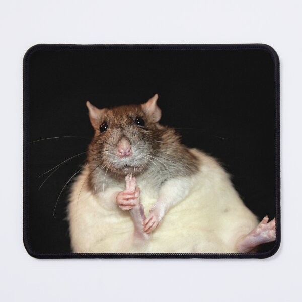 Item preview, Cute rat designed and sold by RatArt Designs.