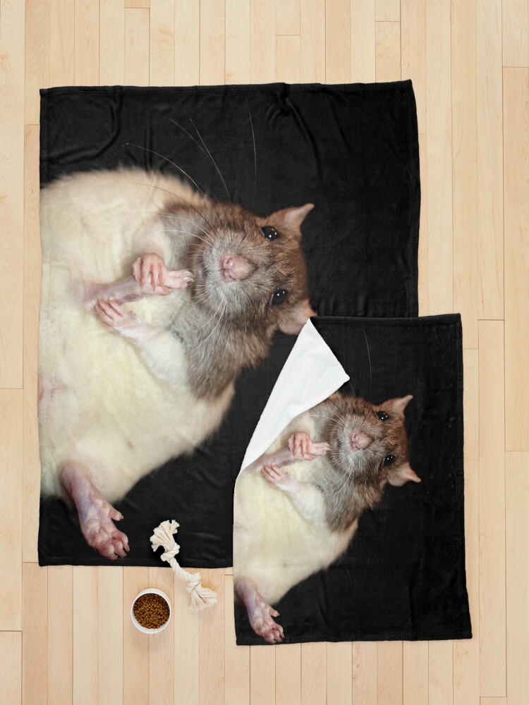 Alternate view of Cute rat Pet Blanket