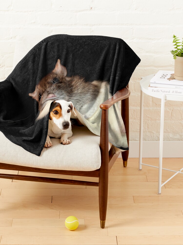 Alternate view of Cute rat Pet Blanket