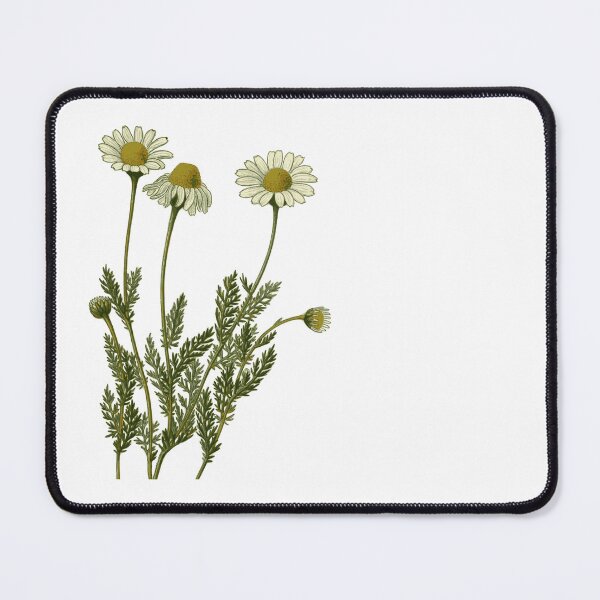 Item preview, Chamomile designed and sold by Studio MaC.