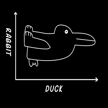 Artwork thumbnail, Duck/Rabbit Graph by Bethcentral Designs
