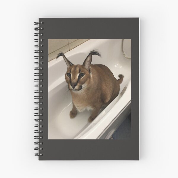 Item preview, Big Floppa in a Bathtub   designed and sold by Slavi-ART.